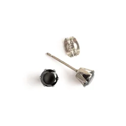Simply Whispers Black Titanium Stud Earrings Hot