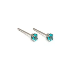 Simply Whispers December Birthstone Stainless Steel Stud Earrings Hot