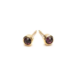 Simply Whispers February Birthstone 14k Gold Plated Earrings Online