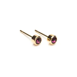 Simply Whispers February Birthstone 14k Gold Plated Earrings Online