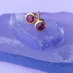 Simply Whispers February Birthstone 14k Gold Plated Earrings Online