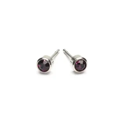 Simply Whispers February Birthstone Stainless Steel Earrings Discount