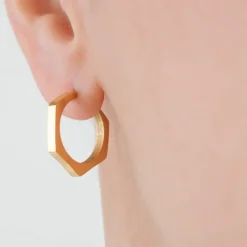 Simply Whispers Gold Hexagon Posted Hoop Earrings Online