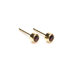 Simply Whispers January Birthstone 14k Gold Plated Earrings Hot