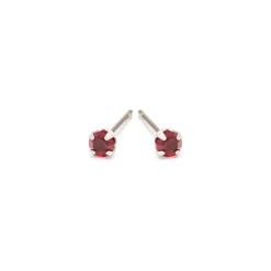 Simply Whispers January Birthstone Stainless Steel Stud Earrings Best
