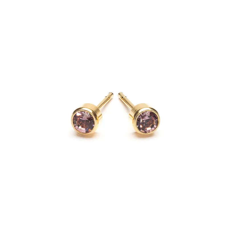 Simply Whispers June Birthstone 14k Gold Plated Earrings New