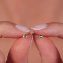 Simply Whispers 14k White Gold Abalone Ball Stud Earrings Best