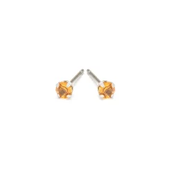 Simply Whispers November Birthstone Stainless Steel Stud Earrings Online