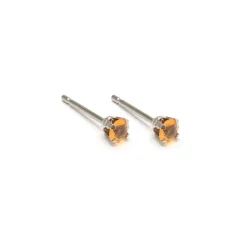 Simply Whispers November Birthstone Stainless Steel Stud Earrings Online