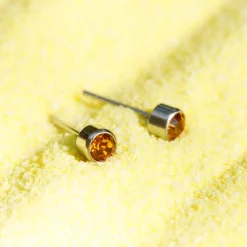 Simply Whispers November Birthstone Stainless Steel Earrings Online