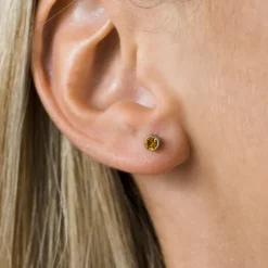 Simply Whispers November Birthstone Stainless Steel Earrings Online