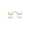 Simply Whispers Pearl Stud Earrings 6mm Gold Plated New