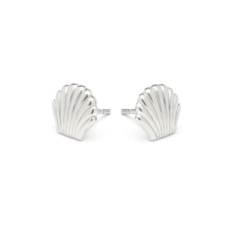 Simply Whispers Stainless Steel Seashell Tiny Stud Earrings New