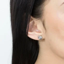 Simply Whispers Stainless Steel Seashell Tiny Stud Earrings New